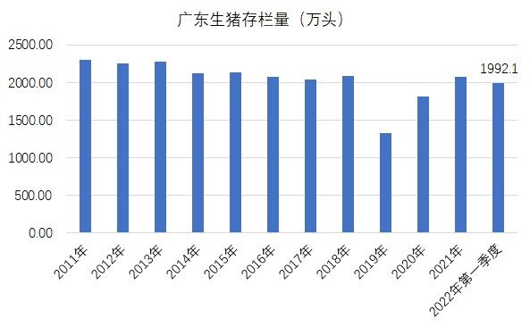 广东：一季度生猪出栏952万头，同比增长14%