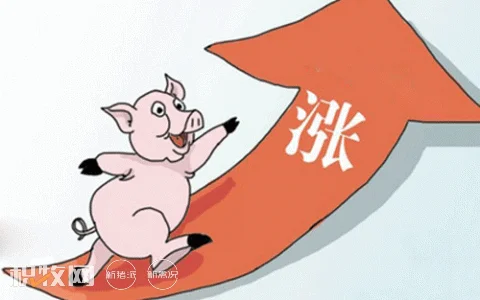 猪价单日最高涨0.5元/斤！机构：5月有三大因素支撑，行情连涨时机将至