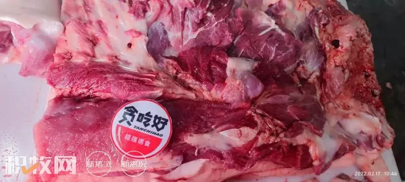 广东科邦安全高品质猪肉品鉴会盛大召开，大咖云集！