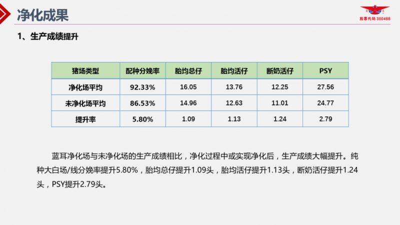 王声会：头均效益提高6376元！中芯种业蓝耳病净化体系详解| 2022首届中国猪病净化大会