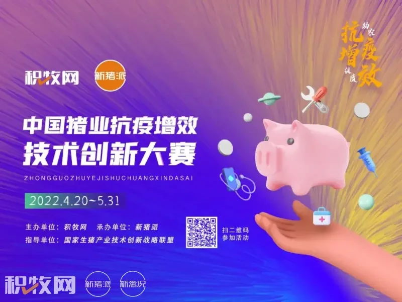 加大蓝耳双阴新美系种猪入围中国猪业抗疫增效技术创新大赛候选项目