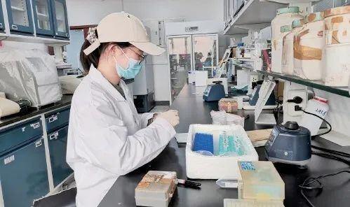 温氏肉鸡养殖豆粕用量已低于5％！中大鸡已实现无豆粕配方，这是怎么做到的？
