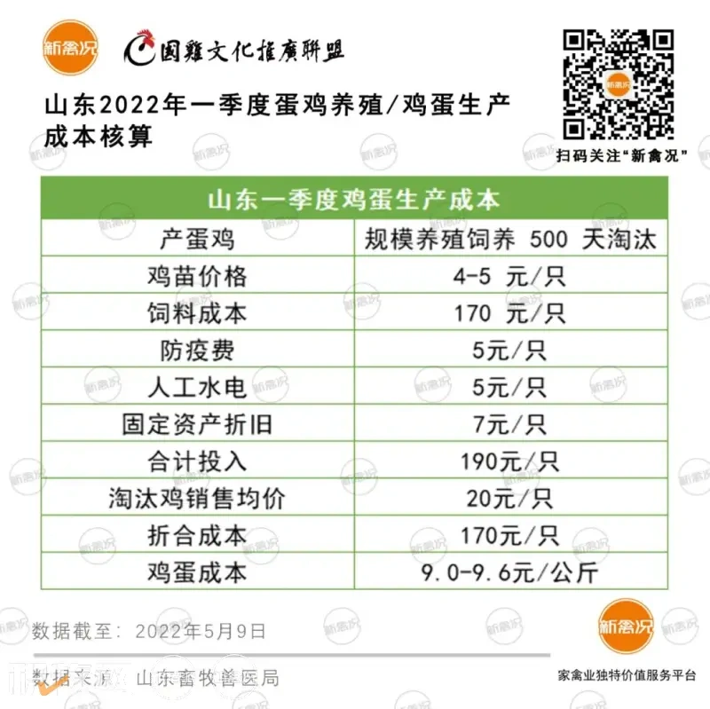 一季度肉鸡盈亏出炉!广东盈利1.3元/公斤!山东亏损1.6元/只,国鸡行情好于白羽肉鸡?