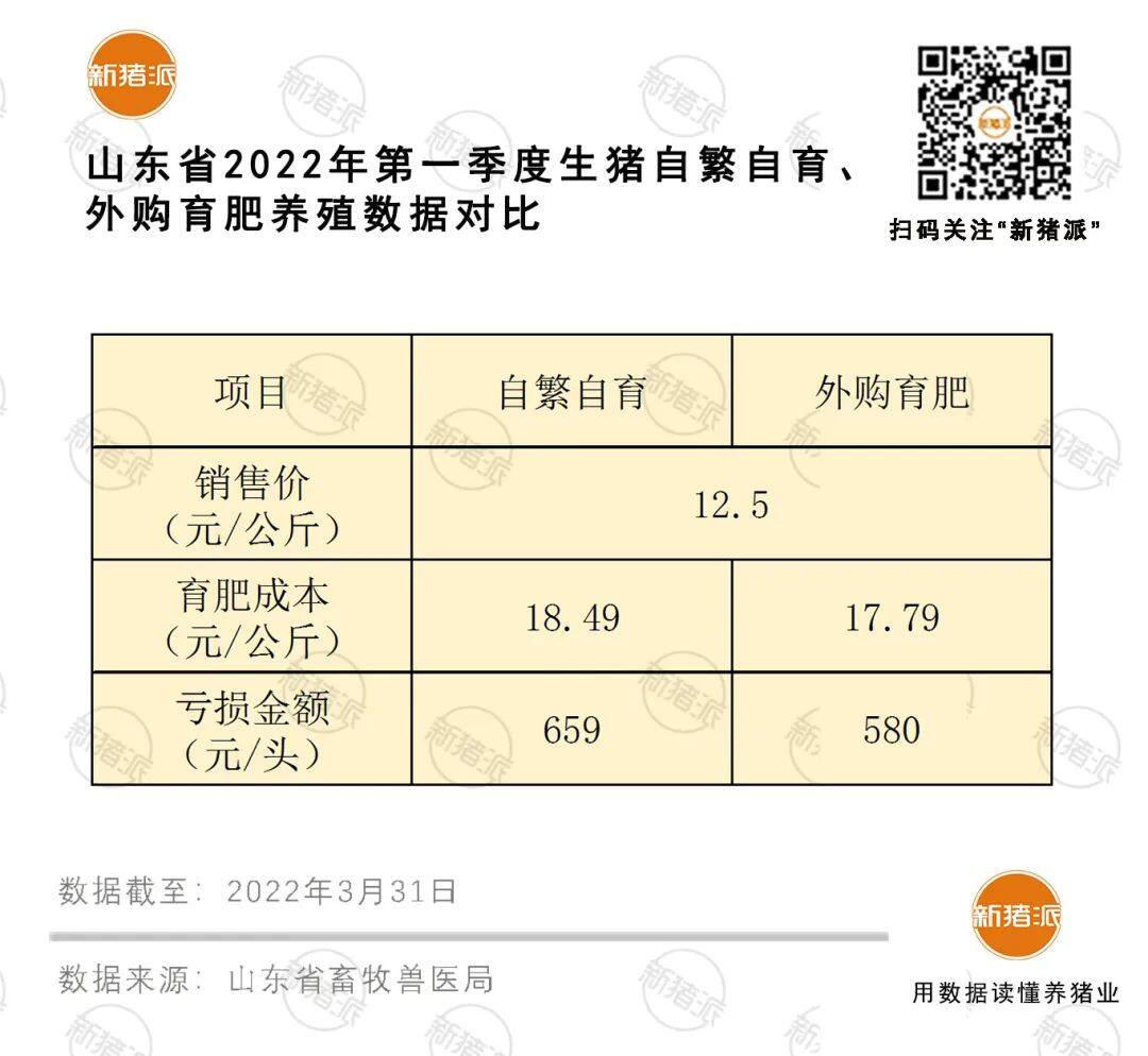 出栏1266万头亏78亿！一季度山东养猪业深度亏损，存栏减346万头居17省之首