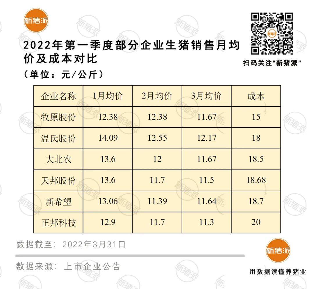 出栏1266万头亏78亿！一季度山东养猪业深度亏损，存栏减346万头居17省之首