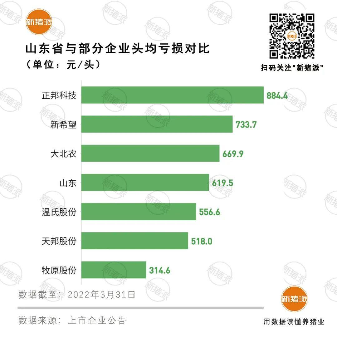 出栏1266万头亏78亿！一季度山东养猪业深度亏损，存栏减346万头居17省之首