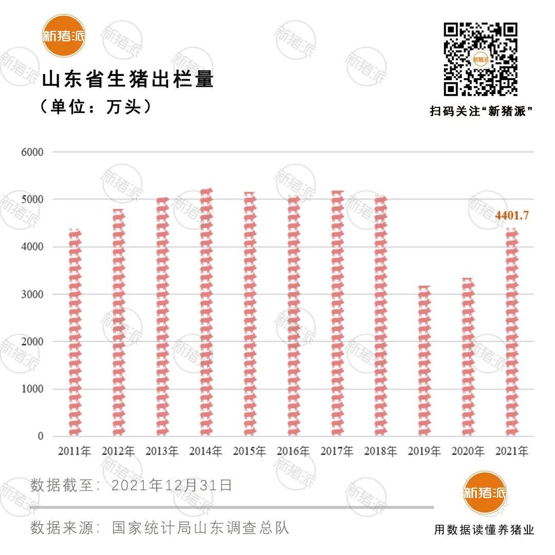 出栏1266万头亏78亿！一季度山东养猪业深度亏损，存栏减346万头居17省之首