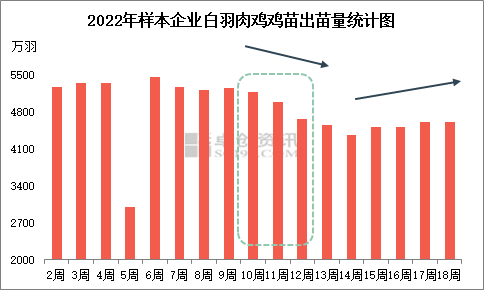 5月份白鸡价格暴跌11%，屠宰企业开工率降至54%，后期是否开启下行通道？