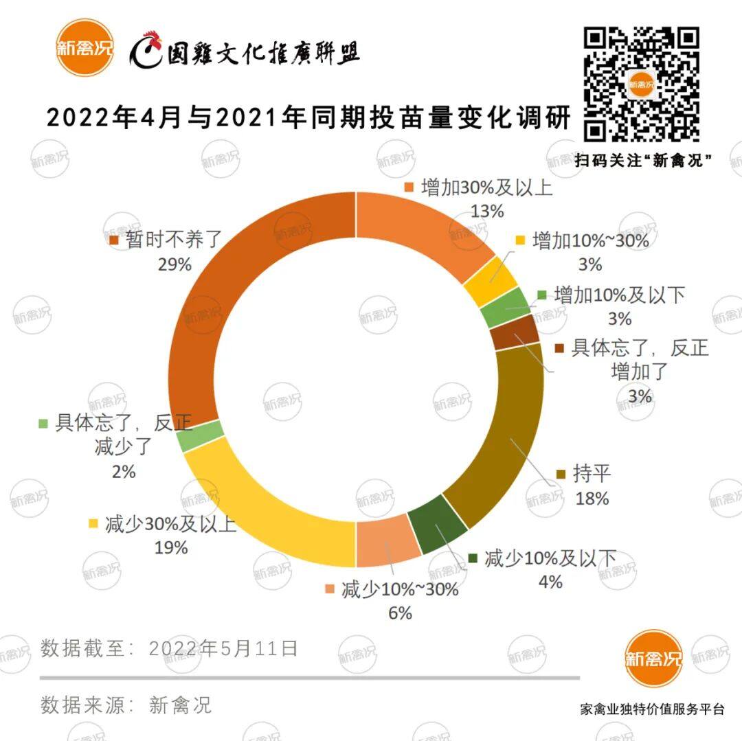 近6成养户减产甚至停养！五一行情不如预期，慢速鸡能否赚钱得看……【苗价分析】