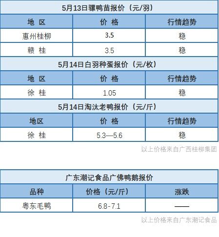 5月13日 浙江水禽价格稳定，桂柳报价白羽鸭苗上涨【水禽价格指数】