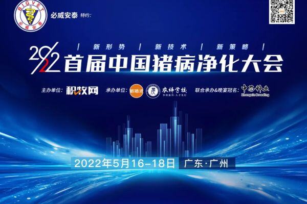 王声会：头均效益提高6376元！中芯种业蓝耳病净化体系详解| 2022首届中国猪病净化大会