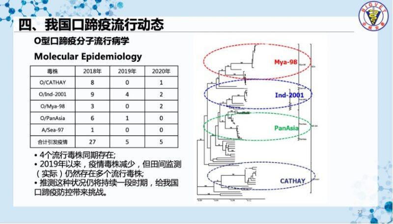 刘延麟：口蹄疫净化势在必行！必威安泰标记疫苗助力无疫区建设｜2022首届中国猪病净化大会