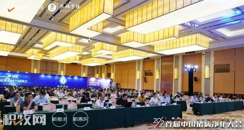 陈瑶生：大区域内协同高效的育种体系，是未来生猪育种发展方向！| 2022首届中国猪病净化大会