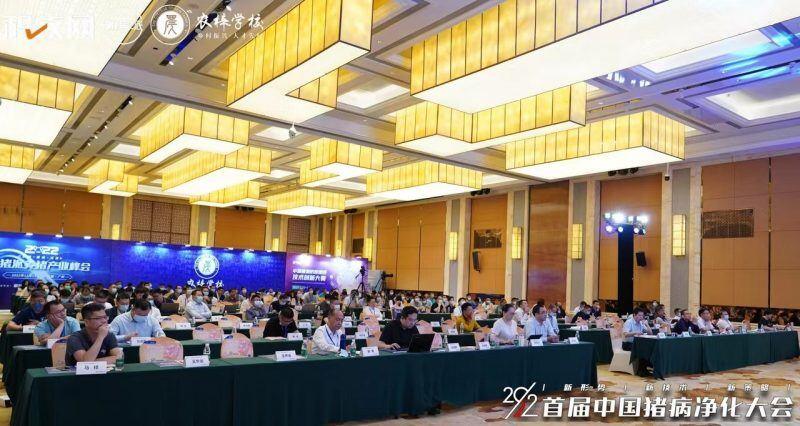 陈蕾:MAOPA™,比传统QPCR灵敏度高10-100倍的革命性分子诊断技术| 2022首届中国猪病净化大会