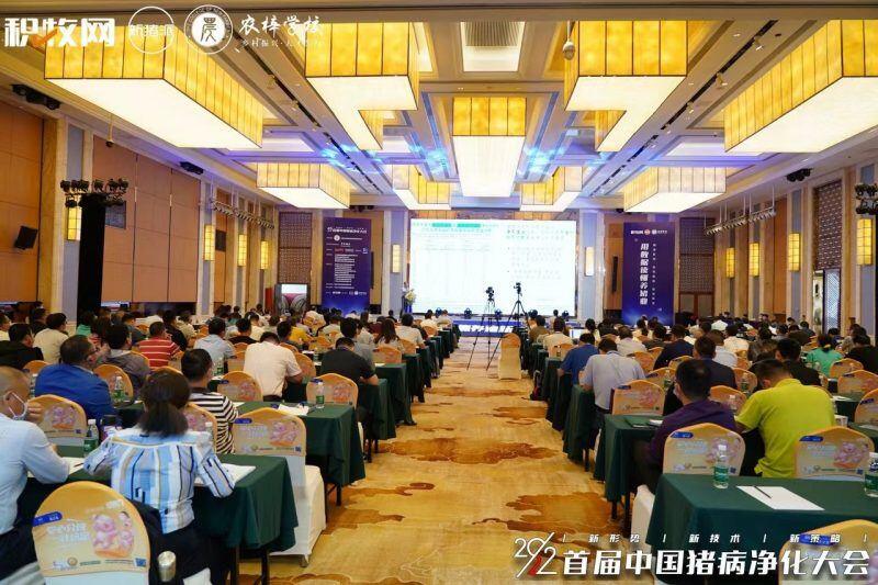 周庆新:猪病净化不是单打独斗!| 2022首届中国猪病净化大会