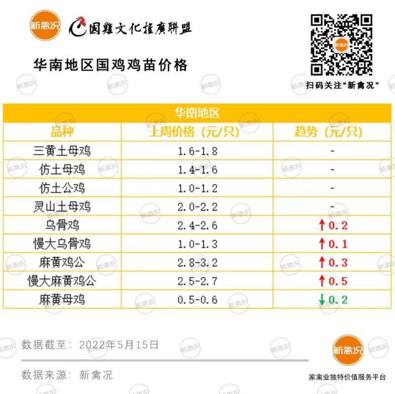 华南暴雨投苗延迟！成鸡价低养户投苗积极性不高，这个中秋鸡价上涨几率大？【苗价分析】