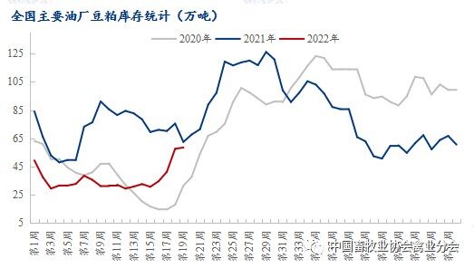 头部企业如何应对饲料原料“高烧”不退？