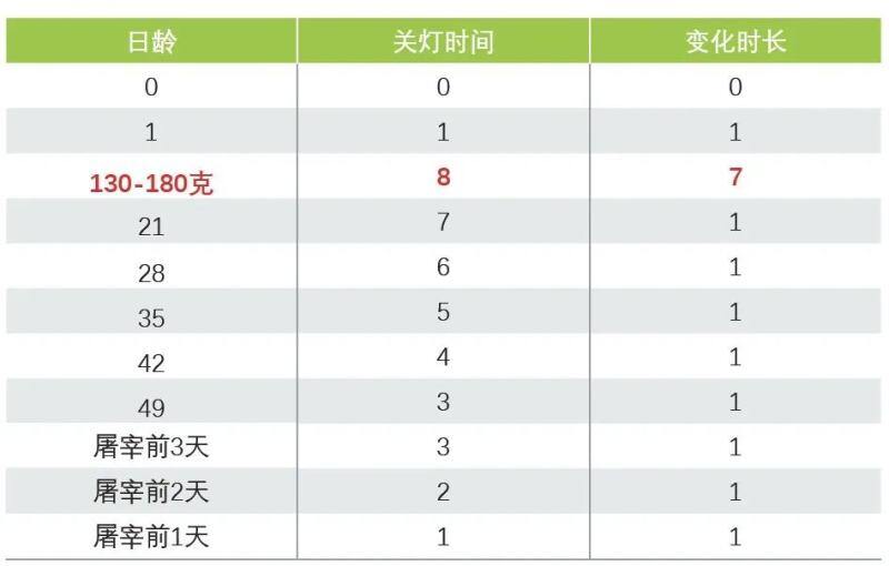 育雏期24小时连续光照，就一定对吗？