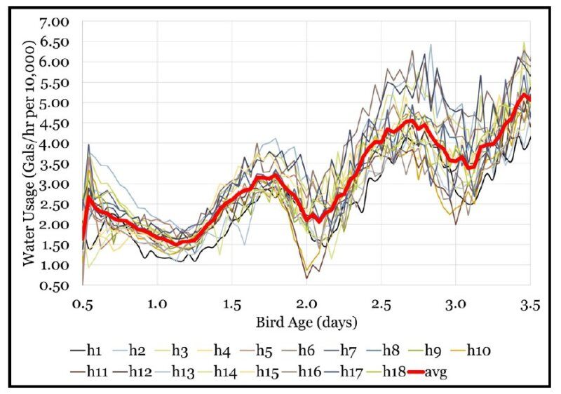 育雏期24小时连续光照，就一定对吗？