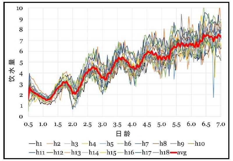 育雏期24小时连续光照，就一定对吗？