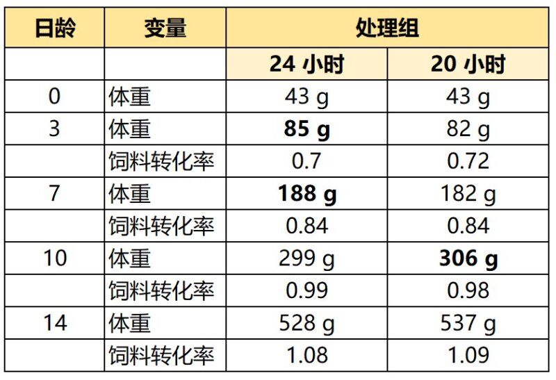育雏期24小时连续光照，就一定对吗？