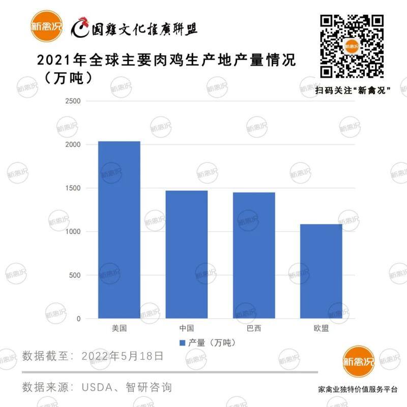 全球肉鸡产能近1亿吨！中国肉鸡产量创历史新高【鲁抗动保特约·数说禽事】