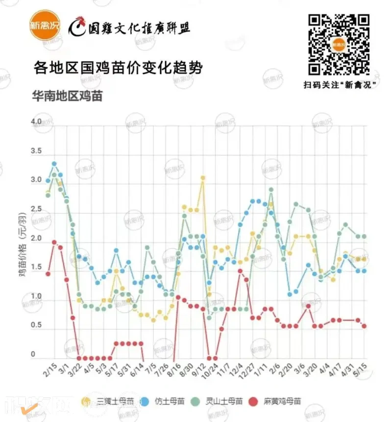 备货端午!鸡价上涨0.7元/斤,鸡蛋涨至同期峰值!北方产区将“抱团”扩产【一周要闻】