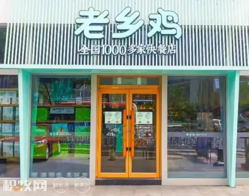 备货端午!鸡价上涨0.7元/斤,鸡蛋涨至同期峰值!北方产区将“抱团”扩产【一周要闻】