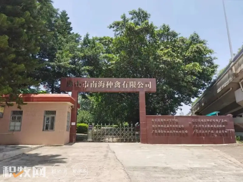 备货端午!鸡价上涨0.7元/斤,鸡蛋涨至同期峰值!北方产区将“抱团”扩产【一周要闻】