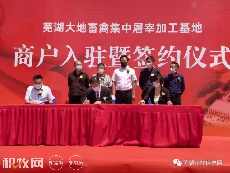 备货端午!鸡价上涨0.7元/斤,鸡蛋涨至同期峰值!北方产区将“抱团”扩产【一周要闻】