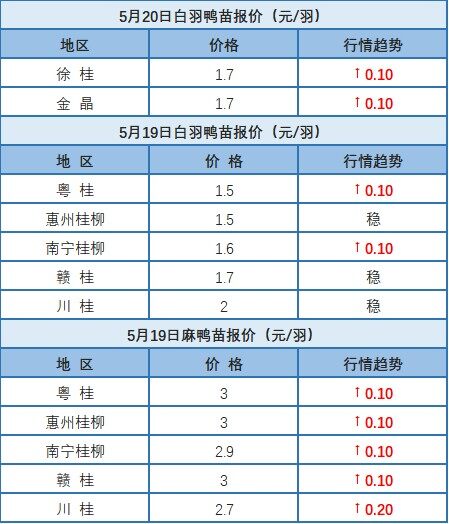 5月19日 浙江、福建、兩湖水禽價(jià)格上漲！廣東水禽價(jià)格穩(wěn)定，桂柳麻鴨苗價(jià)格上調(diào)【水禽價(jià)格指數(shù)】