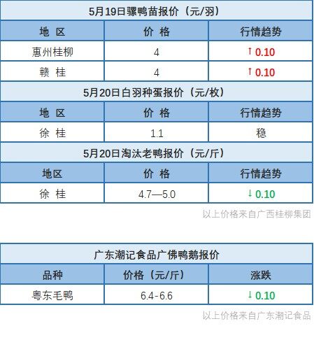 5月19日 浙江、福建、兩湖水禽價(jià)格上漲！廣東水禽價(jià)格穩(wěn)定，桂柳麻鴨苗價(jià)格上調(diào)【水禽價(jià)格指數(shù)】