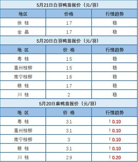 5月20日 广东、浙江、福建水禽价格稳定，桂柳白羽鸭苗价格上涨【水禽价格指数】