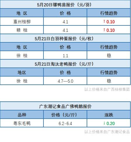 5月20日 廣東、浙江、福建水禽價格穩定，桂柳白羽鴨苗價格上漲【水禽價格指數】