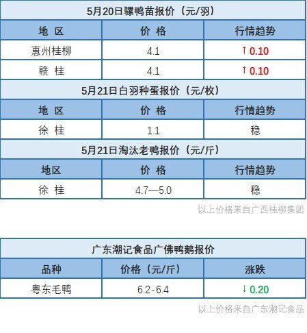 5月20日 广东、浙江、福建水禽价格稳定，桂柳白羽鸭苗价格上涨【水禽价格指数】