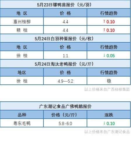 5月23日 浙江、福建水禽价格稳定，桂柳白羽鸭苗价格下调【水禽价格指数】