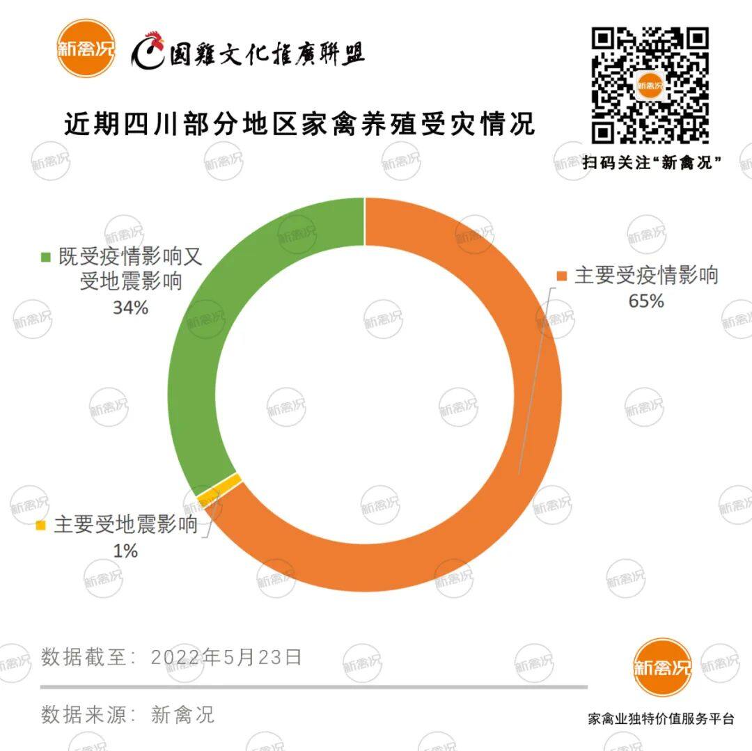 华南鸡苗最高降0.65元/只！川内疫情影响65%养户生产，有35%养户还受地震影响……【苗价分析】