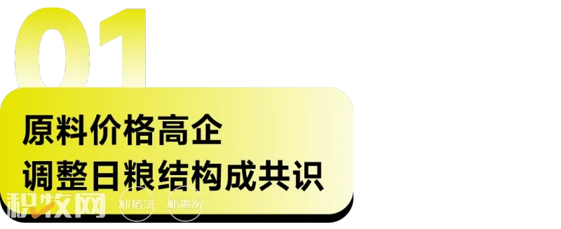EW Nutrition成功举行提高家禽盈利水平的肠道健康方案暨威恩特D新品发布会