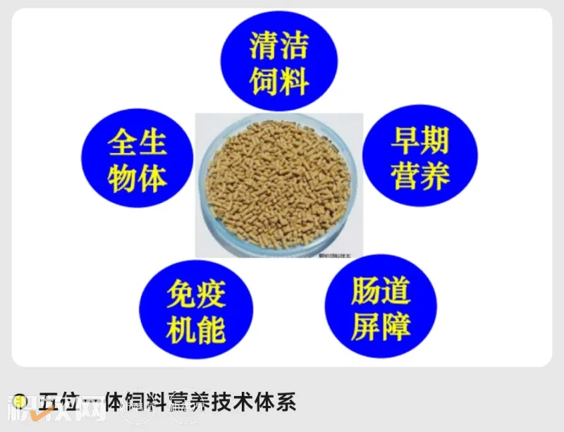 EW Nutrition成功举行提高家禽盈利水平的肠道健康方案暨威恩特D新品发布会