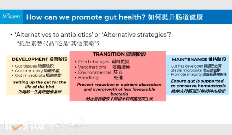 EW Nutrition成功举行提高家禽盈利水平的肠道健康方案暨威恩特D新品发布会