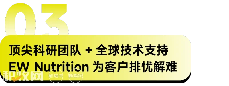 EW Nutrition成功举行提高家禽盈利水平的肠道健康方案暨威恩特D新品发布会