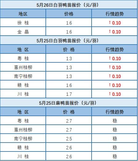 5月25日 浙江、福建水禽價格穩定，桂柳白羽鴨苗價格上漲【水禽價格指數】