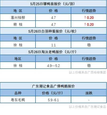 5月25日 浙江、福建水禽價格穩定，桂柳白羽鴨苗價格上漲【水禽價格指數】