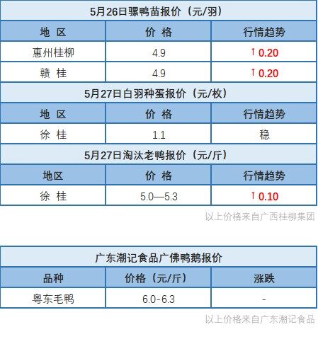 5月26日 浙江、福建水禽价格稳定，桂柳白羽鸭苗价格上涨【水禽价格指数】