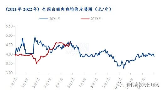 6月白羽肉鸡市场多方利空！白羽鸡苗传统淡季来临，鸡苗价格将开启下行（附历年数据）