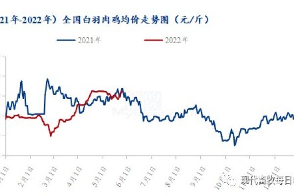 6月白羽肉鸡市场多方利空！白羽鸡苗传统淡季来临，鸡苗价格将开启下行（附历年数据）