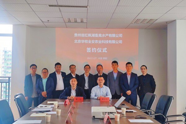 助力新发展 扬帆再起航 | 热烈祝贺华牧全安与红枫公司签订合作养殖协议