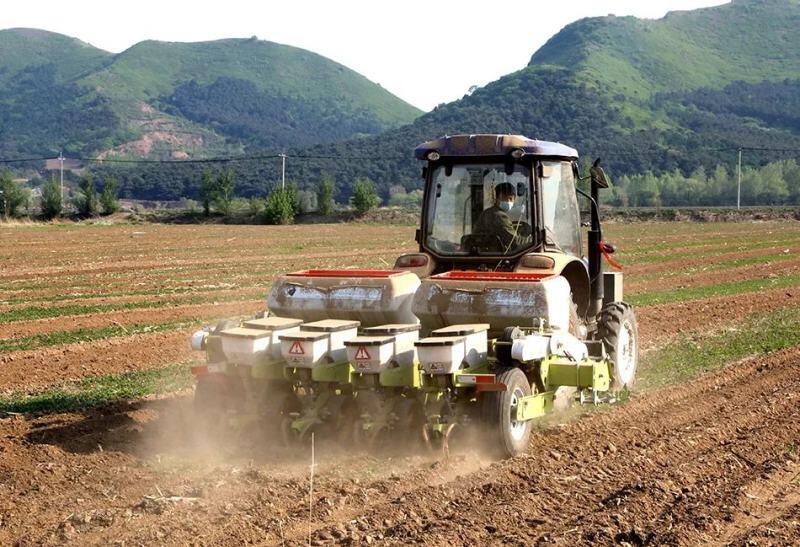 原料降价难?饲料高位常态化?专家称:未来国产大豆增产有限,价格绝对更高!