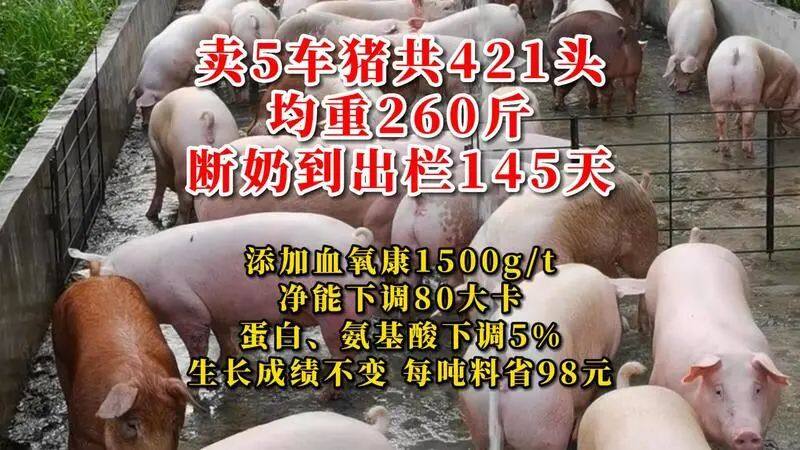 三行生物【?血氧康+凈能配方技術】入圍中國豬業抗疫增效技術創新大賽候選項目