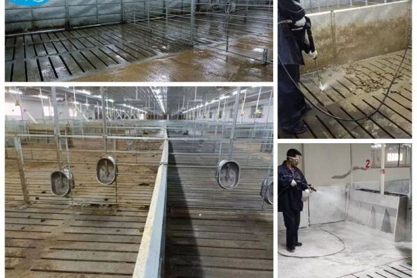 【欧途环保养殖场栏舍清洗新方案】入围中国猪业抗疫增效技术创新大赛候选项目
